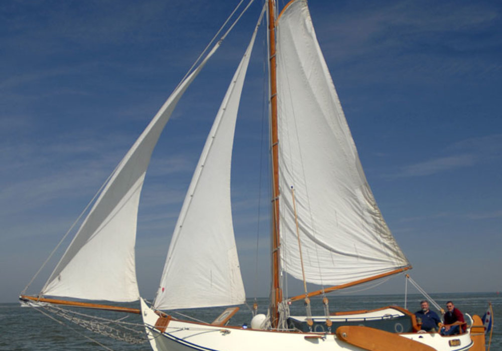 Vollenhovense Bol 8.50 for hire